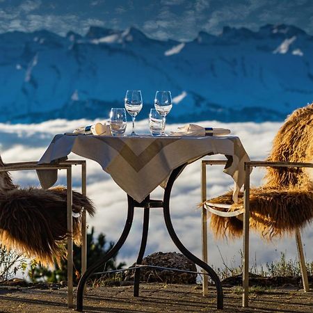Kraeuterhotel Edelweiss Rigi Kaltbad Eksteriør billede