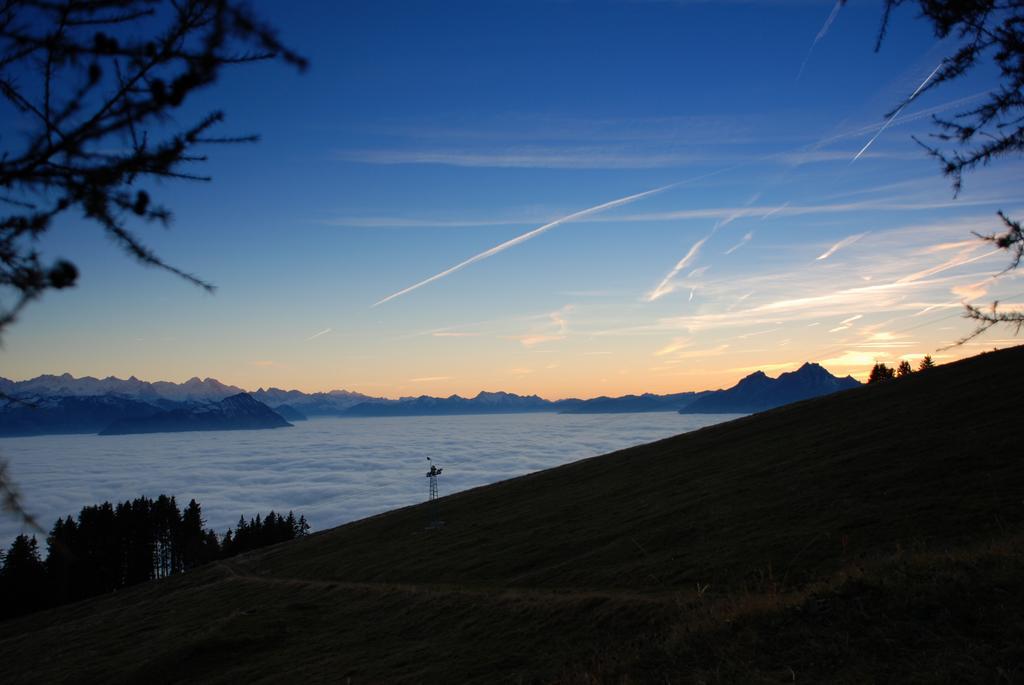 Kraeuterhotel Edelweiss Rigi Kaltbad Eksteriør billede