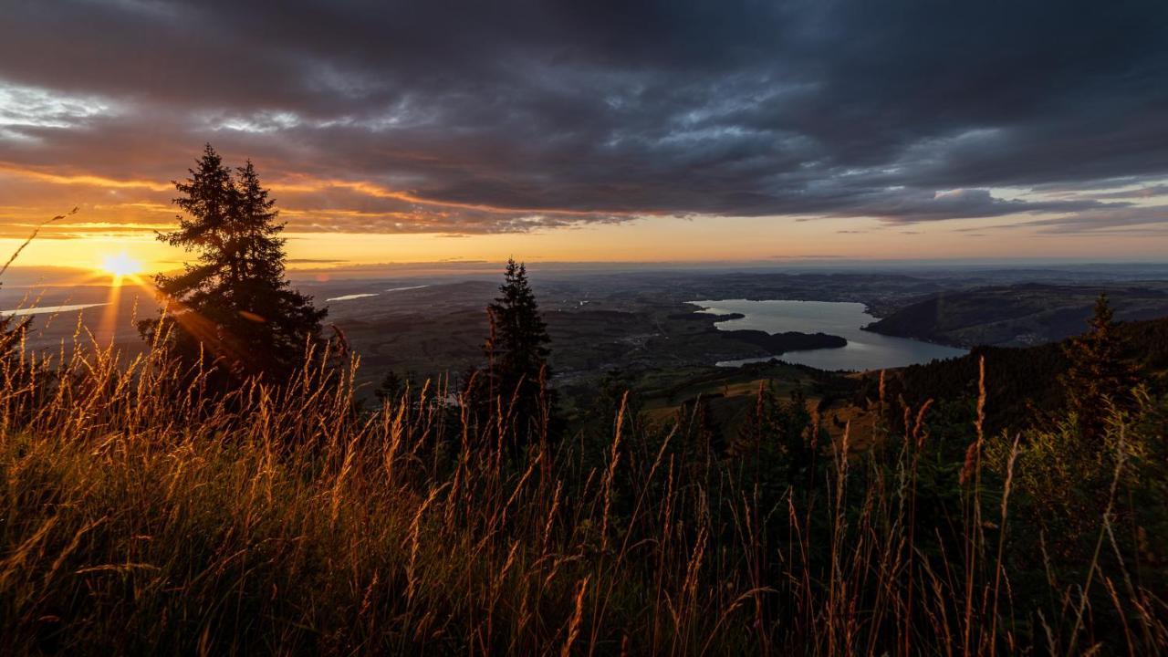 Kraeuterhotel Edelweiss Rigi Kaltbad Eksteriør billede