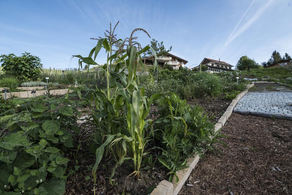Kraeuterhotel Edelweiss Rigi Kaltbad Eksteriør billede