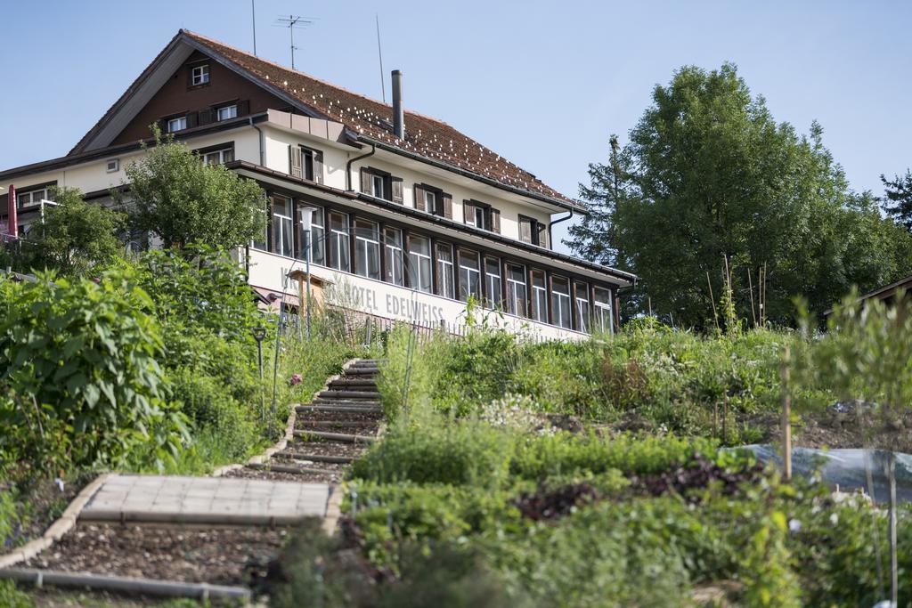 Kraeuterhotel Edelweiss Rigi Kaltbad Eksteriør billede